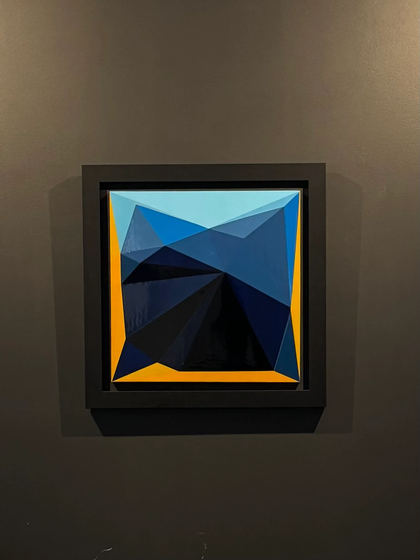 Shallow Relief and Saturation under warm lighting, casting a shadow on a dark wall